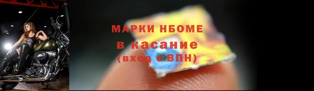 ПСИЛОЦИБИНОВЫЕ ГРИБЫ Козловка