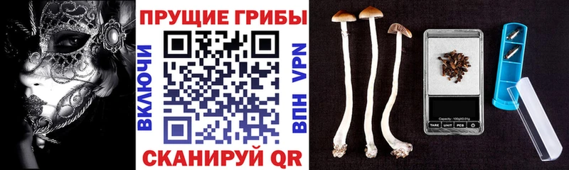Псилоцибиновые грибы Magic Shrooms  Черепаново 